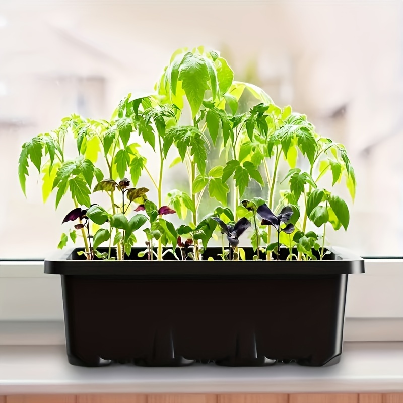 مجموعة أدوات بدء زراعة الشتلات - مراجعة Led Assortment Kit وسعره